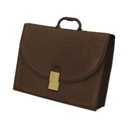 Leather Briefcase