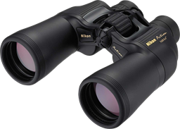 Binoculars item icon