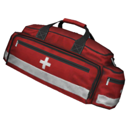 Paramedic Bag HandHeld
