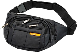 Fanny Pack